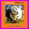 Spence Townsend - Black Cat, White Cat